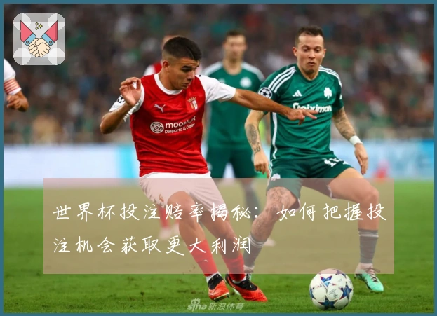 世界杯投注赔率揭秘：如何把握投注机会获取更大利润