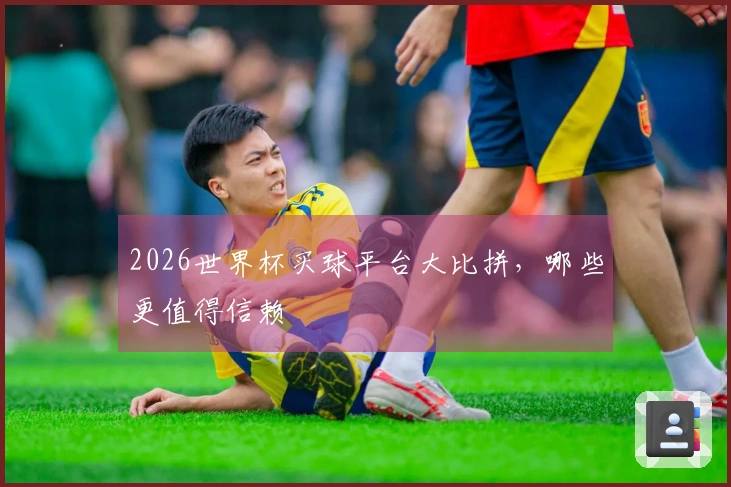 2026世界杯买球平台大比拼，哪些更值得信赖