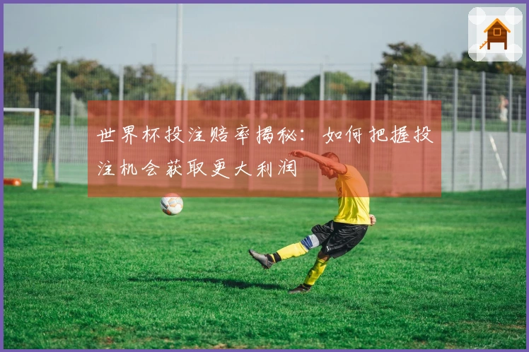 世界杯投注赔率揭秘：如何把握投注机会获取更大利润