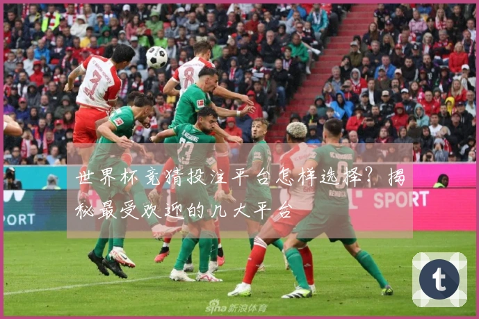 世界杯竞猜投注平台怎样选择？揭秘最受欢迎的几大平台