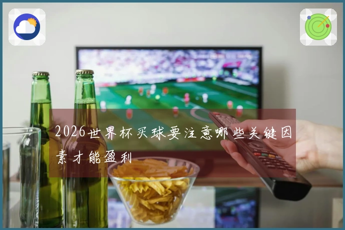 2026世界杯买球要注意哪些关键因素才能盈利