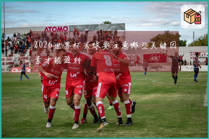 2026世界杯买球要注意哪些关键因素才能盈利