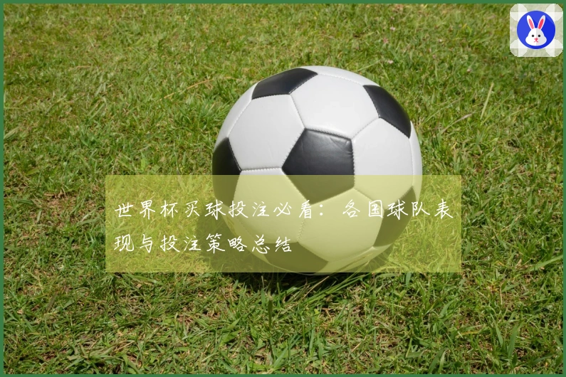 世界杯买球投注必看：各国球队表现与投注策略总结